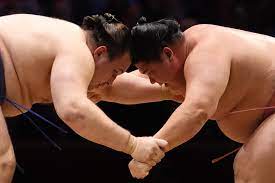 Sumo Champion
